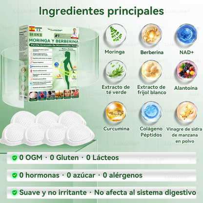 𝑳𝒖𝒙𝒂𝒓𝒊𝒔𝒆®⏲️ Moringa & Berberina 10 en 1 Parche Avanzado de Microagujas Nano (Uso diario, cambios visibles en 7 días) 👩‍⚕️ Obesidad, Diabetes, Apnea del Sueño y Problemas Articulares