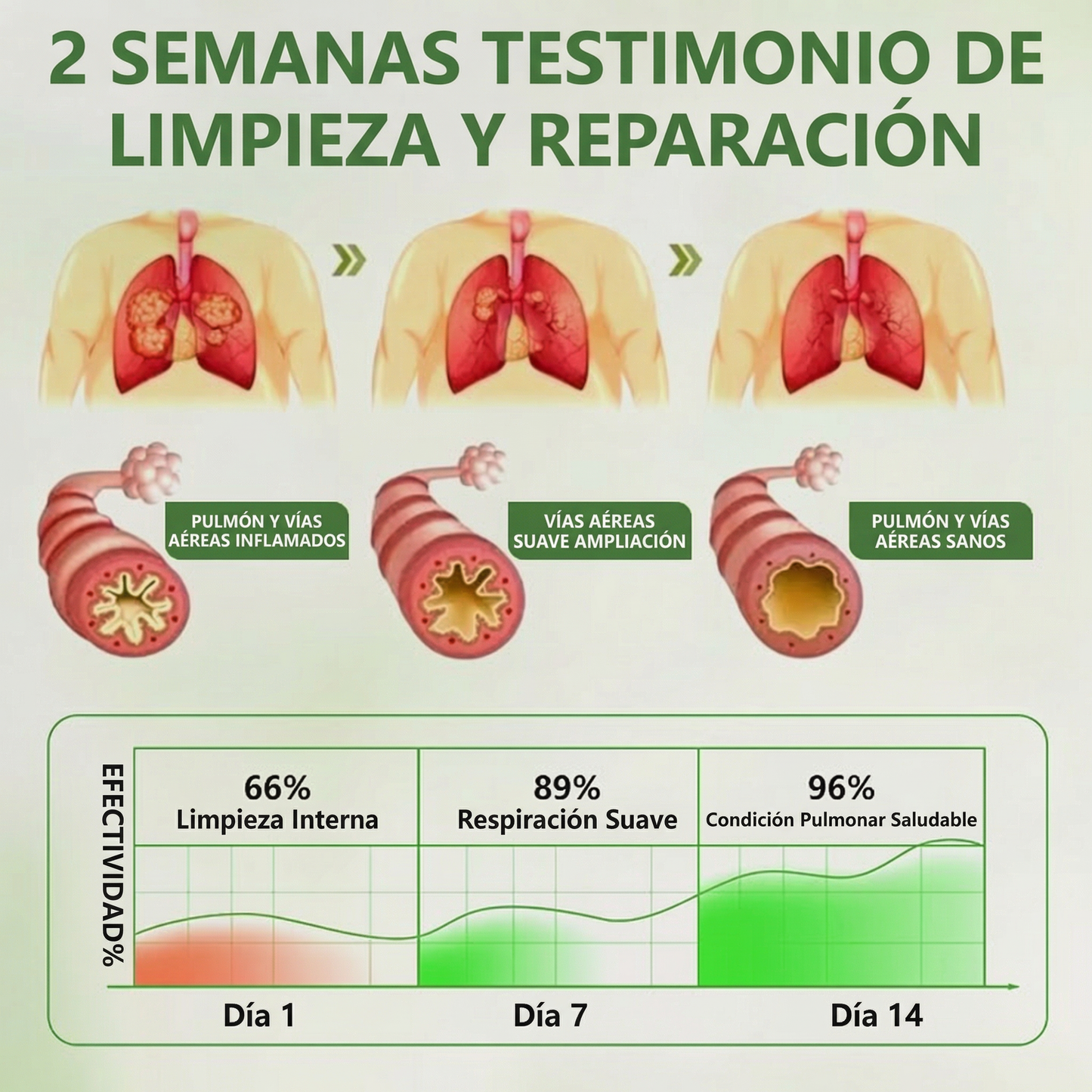 🫛Timilk®BOTÁNICO CUIDADO PULMONAR DIFUSOR DE GORDOLOBO